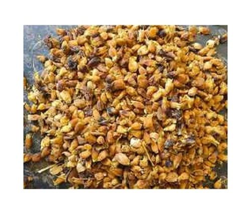 99% Pure A Grade Common Cultivated Sunlight Drying Mahua Seed