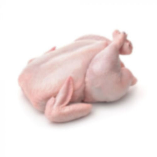 Premium Quality Skinless Whole Body Fresh Chicken Meat