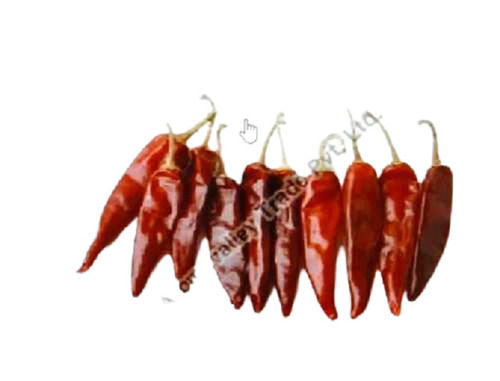 dry red chilli