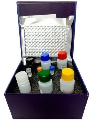 Human Il8 Interleukin 8 Elisa Kits For Medical Purpose Temperature Range: 2-8 Celsius (Oc)