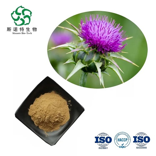 Milk Thistle Extract Silymarin 80% Powder at Best Price in Baoji ...