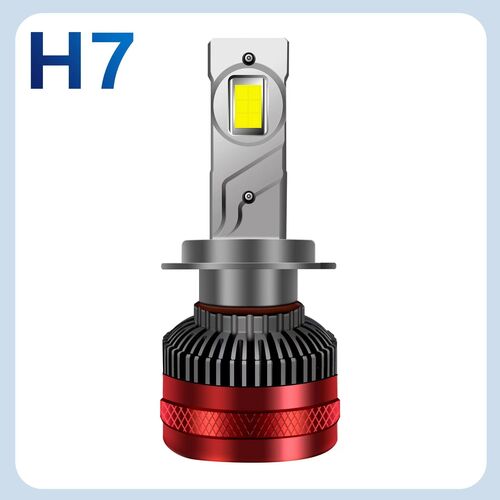 Tighten instant Menda City Automotive Led Bulbs Latest Price From Top Manufacturers, Suppliers &  Dealers