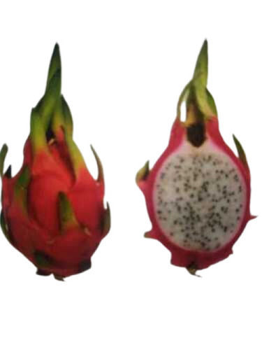 Black Organic Dragon Fruit, High In Vitamin