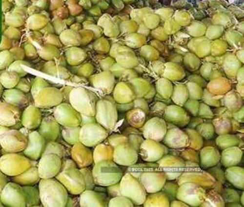 A Grade Fresh Pollachi Tender Coconut