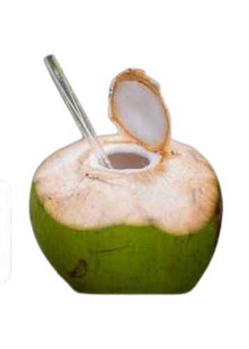 Large Size A Grade Pollachi Tender Coconut