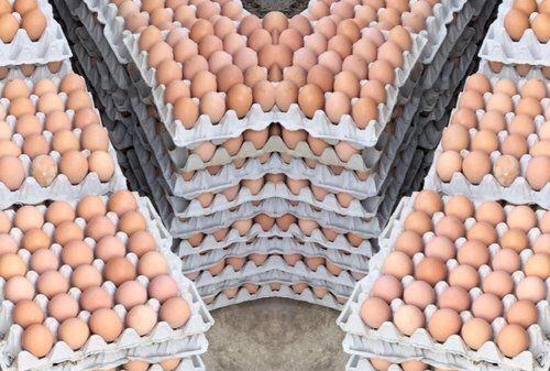 Pure Organic Natural Size Desi Brown Eggs