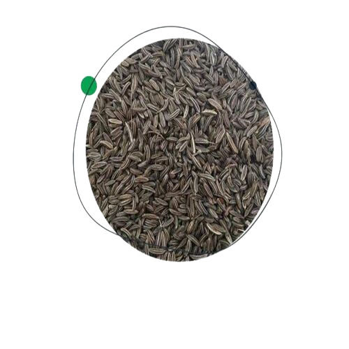 Black Cumin Seed For Cooking Use