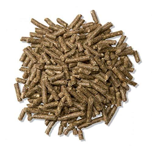 Feed at Best Price in Gondal, Gujarat Yogi Cattle Feed