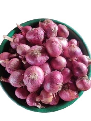 Red Onion - Very Good Quality, 100% Pure Vegetable | Good for Health, Moisture Nil, Round Shape, Chopped Style, Stored Cool & Dry