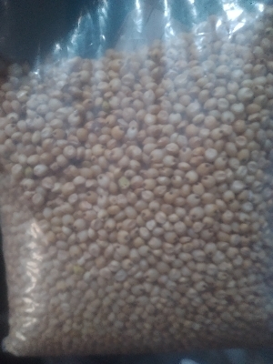 Sorghum Seeds - Cultivation Type: Food Item