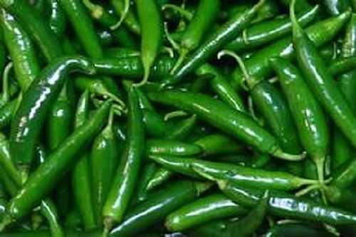 Natural And Pure Green Chillies