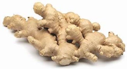 Healty Organic Peruvian Ginger Application: Industrial