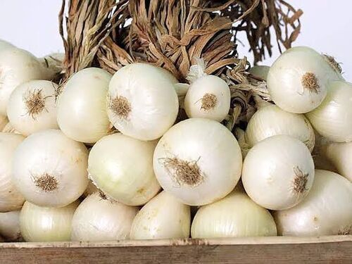 Paper Organic White Onions