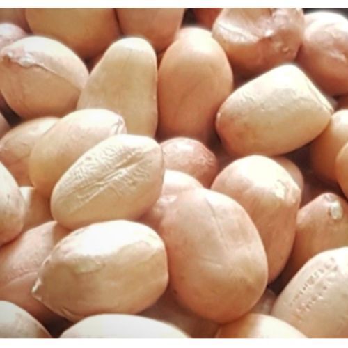 Protein Rich Java Groundnut Peanuts Kernels Broken (%): 3