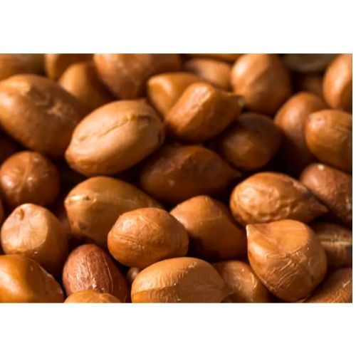 Raw Indian Brown Peanut Groundnut Kernels Broken (%): 2