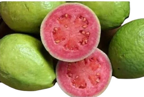 Natural And Healthy Pure Guava 