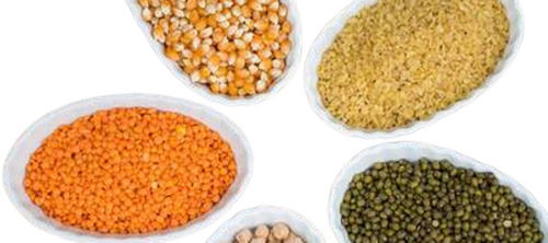 All Type Natural And Pure Orange Pulses