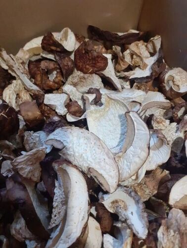 White 100% Organic Natural Dried Boletus Mushrooms