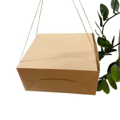 Paper Plain Brown Color Cake Box