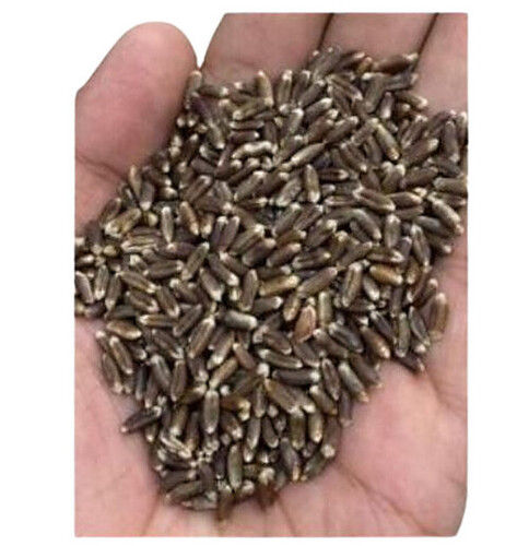 Free From Impurities Black Organic Wheat