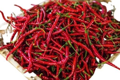 Hot And Spicy Taste Red Chilly