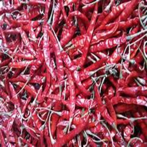 Indian Origin Dried Whole Red Chiliies 