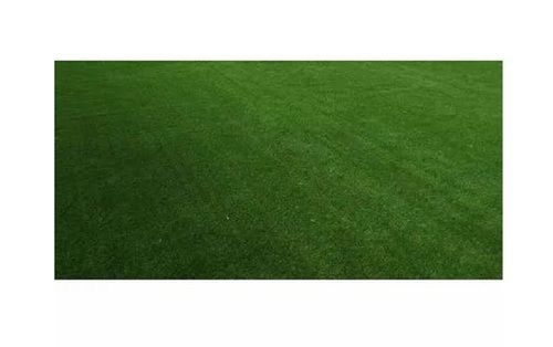 Lightweight Rectangular Slip Resistant Plain Artificial Grass Carpet For Indoor And Outdoor