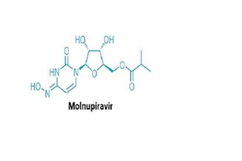 Molnupiravir For Oral Treatment Cas No: 2492423-29-5