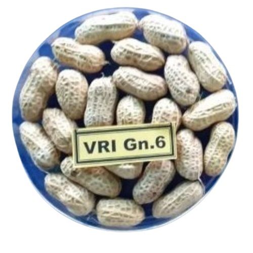 Groundnut Seed Vri Gn-6 Raw Peanut Broken (%): Less Than 4%