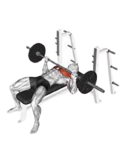 Manual Operated Metal Body Heavy-duty Incline Bench For Gym