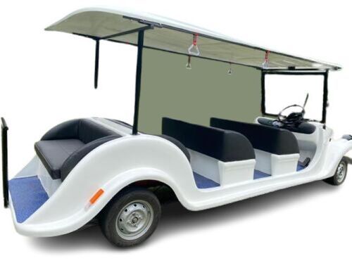 Perfect Finish Electric Golf Cart 