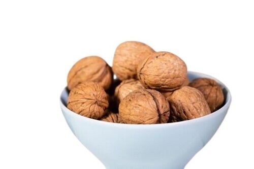 walnut