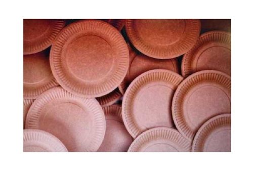 Eco-Friendly Heat And Cold Resistant Single Compartment Round Paper Plates