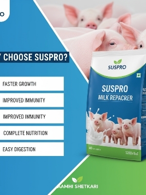 Organic Poultry Nutrient Premixes - 99.9% Pure, Eco-Friendly White Cream Dried Supplements for Growth and Immune Health