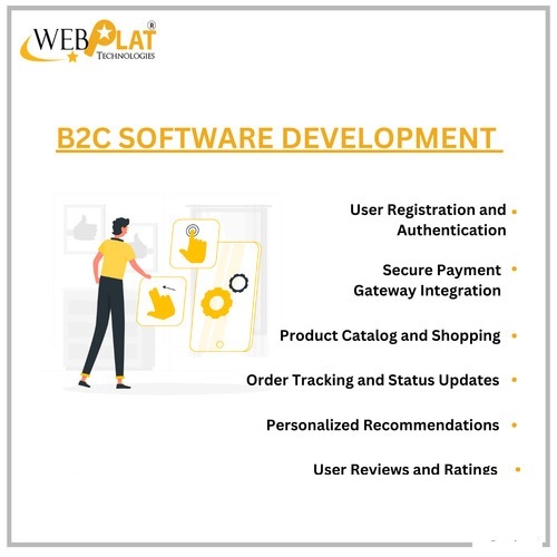 B2C Software Development Services