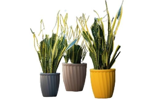 plastic flower pots