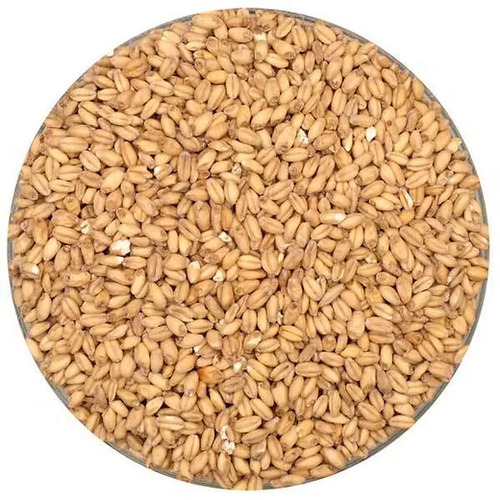 Wheat Malt - Food Grade Natural Malt Flavor | Enhances Taste Aids Fermentation Easy to Use