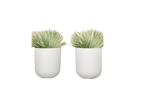 White Eco Friendly Garden Bloom Planters