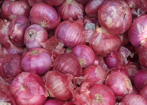 100% Natural Fresh Premium Red Onions