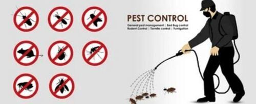 Home Pest Control Services