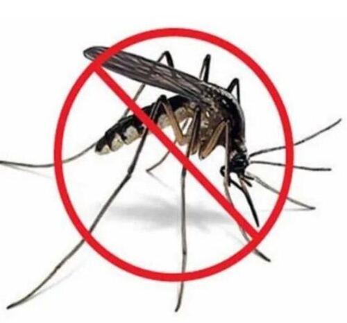 Mosquitoes Pest Control Services  By Micro Pest Control Service