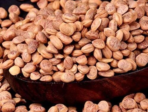 Chironji Seeds - Whole, 100% Pure and Bold Size | Premium Grade A Dried Natural Seeds with 6 Months Shelf Life