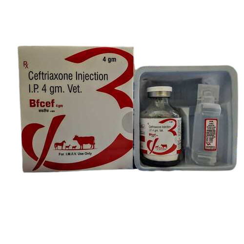 Liquid Ceftriaxone Injection I.P. 4Gm Vet.