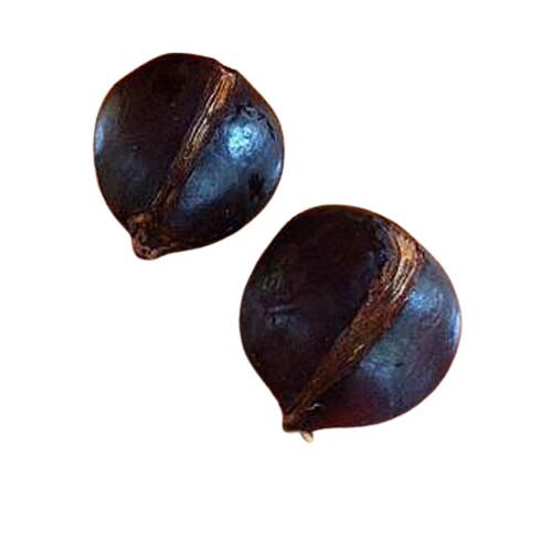 Amoora Rohituka Extract By Sangam Organic India