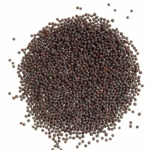 Black Mustard Seed - 100% Pure, Moisture 5% | Organic Oil Seeds, Grade A, Loose Type, Timely Shelf Life of 12 Months