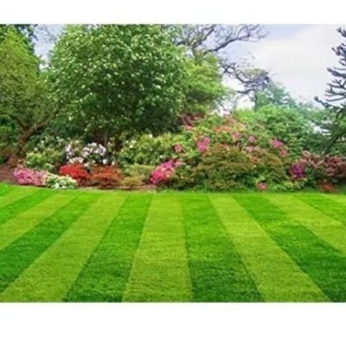 Lawn Gardening Service