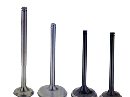 Engine Valves Guides