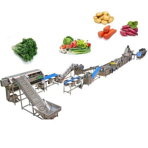 vegetable processing plant