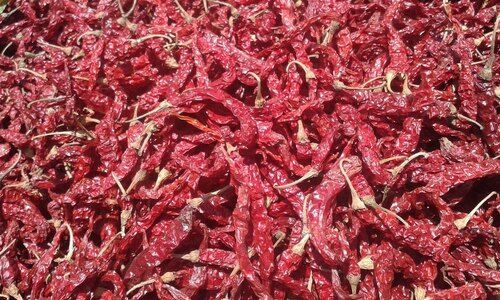 dry red chilli