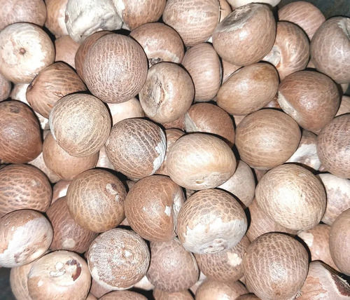 Areca Nuts White